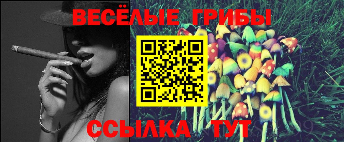 Галлюциногенные грибы мицелий  Галлюциногенные грибы ЛСД  где купить наркоту  Краснодар  Вход с VPN 
