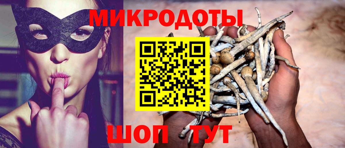 Псилоцибиновые грибы Magic Shrooms Краснодар