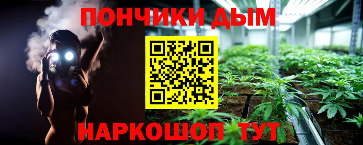 Бошки Шишки ГИДРОПОН Краснодар